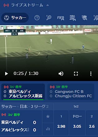 Jリーグのスポーツ観戦