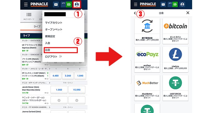 ピナクルの出金の手順解説画像