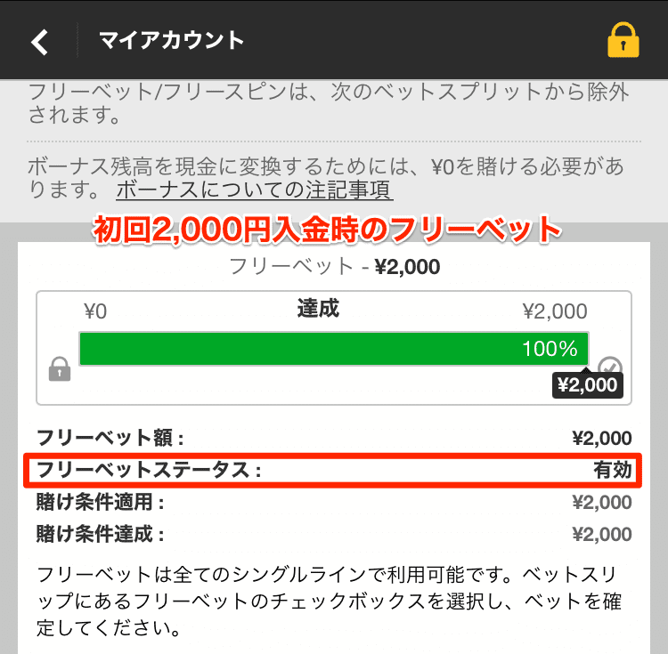 フリーベットが有効になった時の確認ページ画像