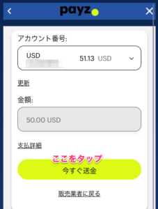 カジ旅　payz入金③