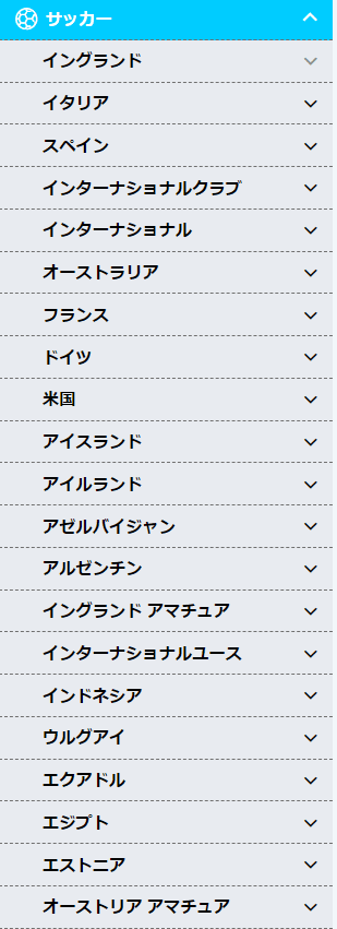ベット可能サッカー開催国