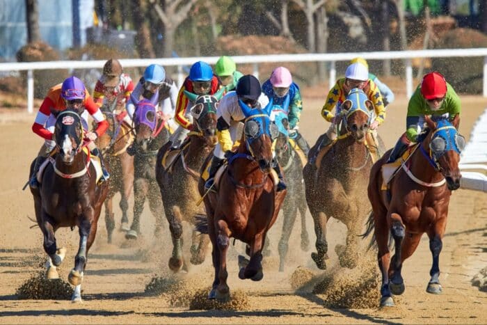 ギャンブル競馬