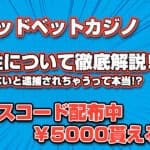 テッドベットカジノ違法性について徹底解説!!知らないと逮捕されちゃうって本当!?