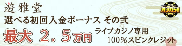 最大2.5万円の100％スピンクレジット